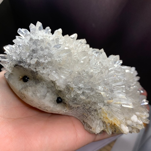 激レア！希少なダブルフェイスハリネズミ・水晶クラスター