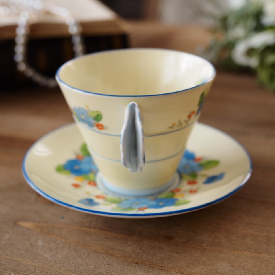 訳あり【英国Paragon】パラゴン プリムローズボーダー フラワー