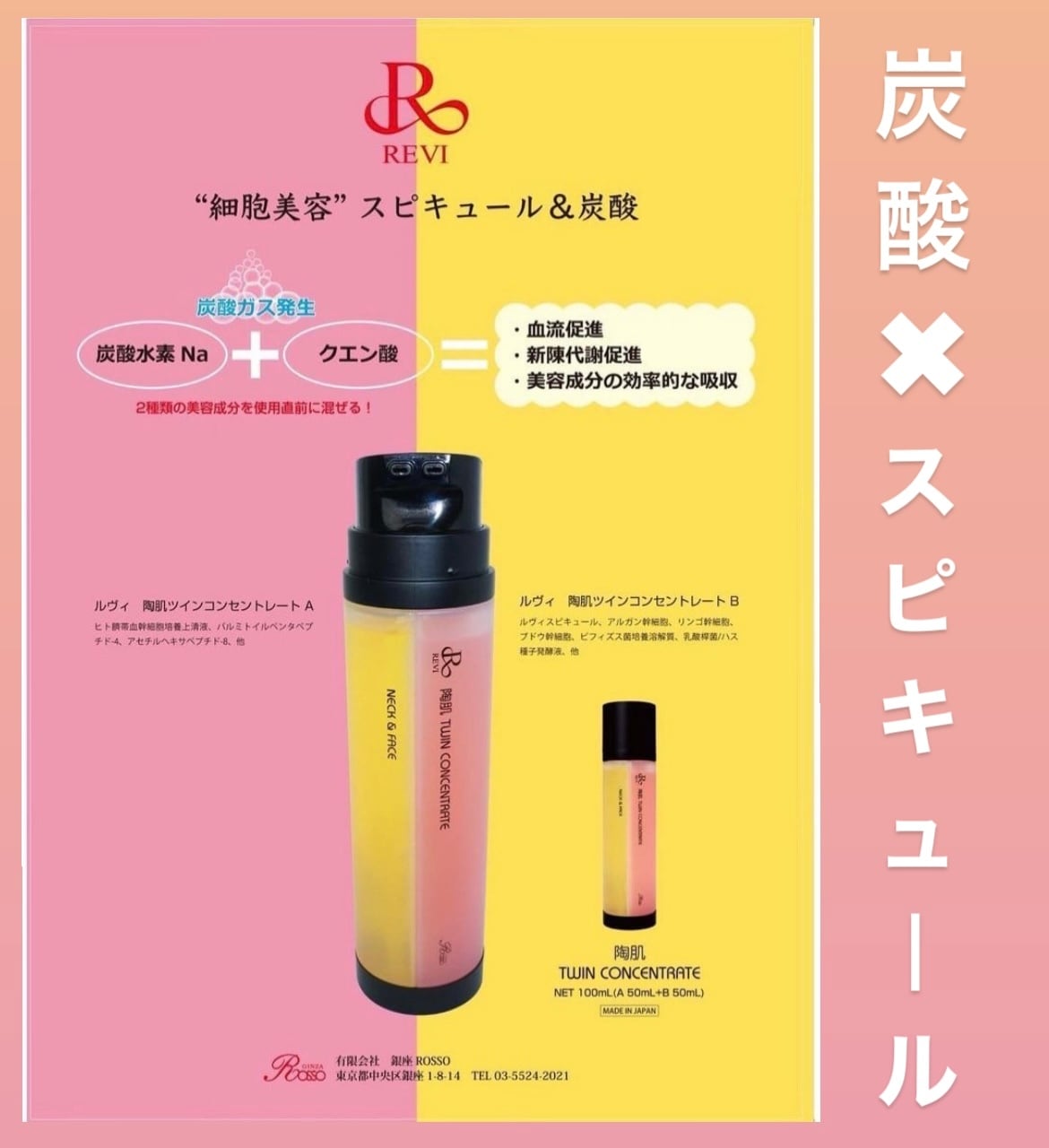 ルヴィ 陶肌ツインコンセントレート | REVI ONLINE STORE