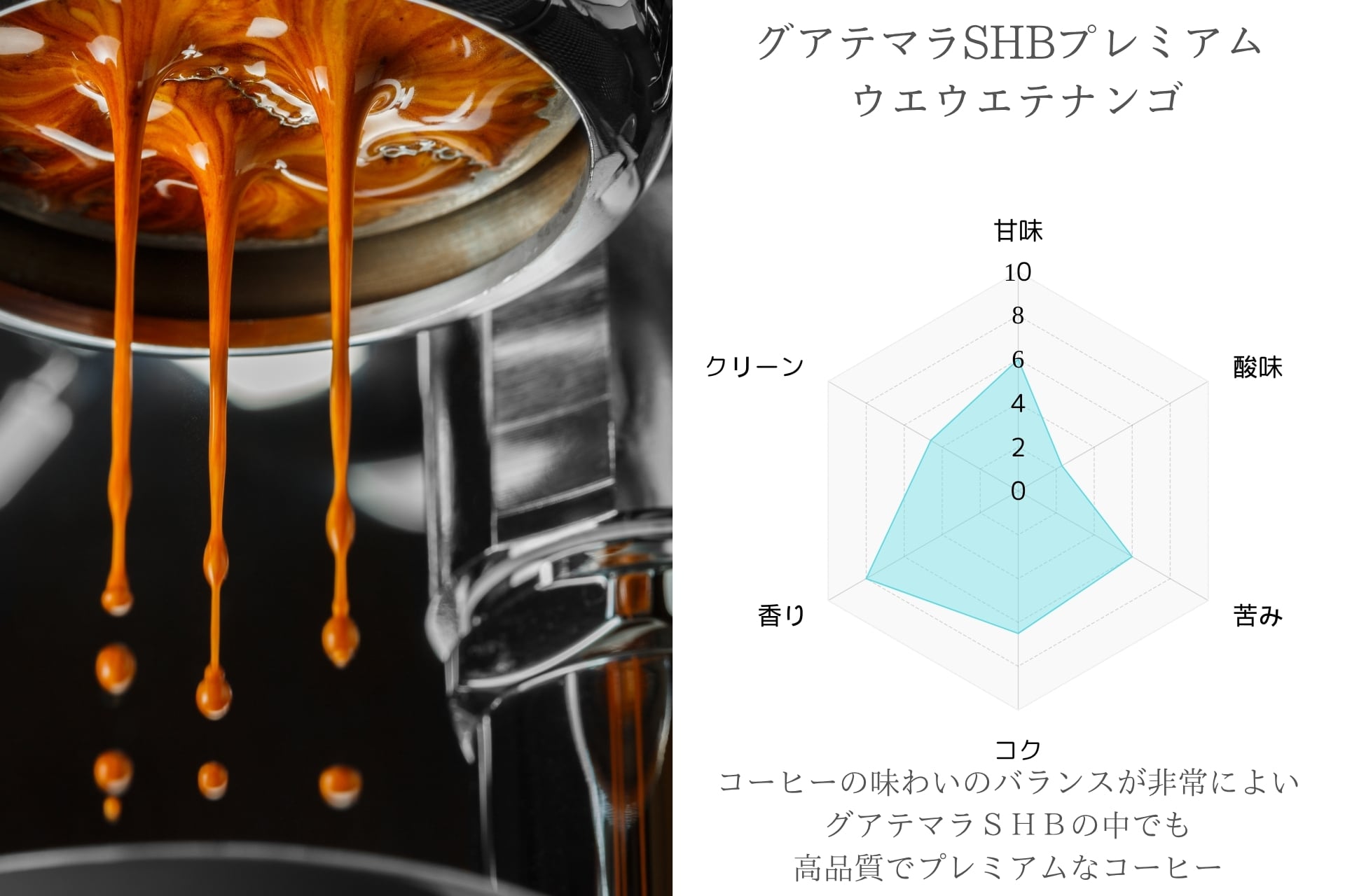 グアテマラSHBプレミアム 400g ウエウエテナンゴ | 自然豊かな自家焙煎
