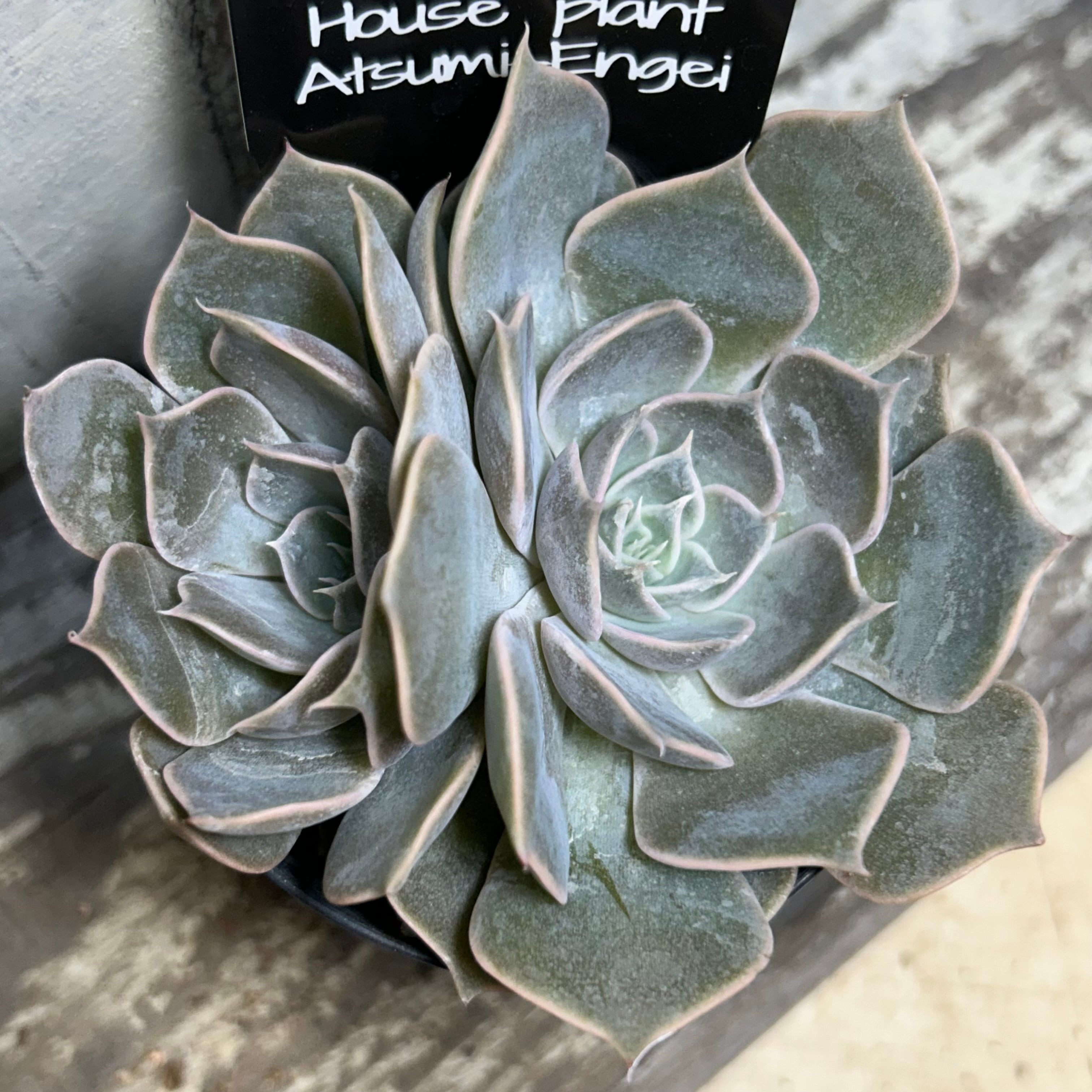 59352a68326db50d2c8d3e1bfad5dd