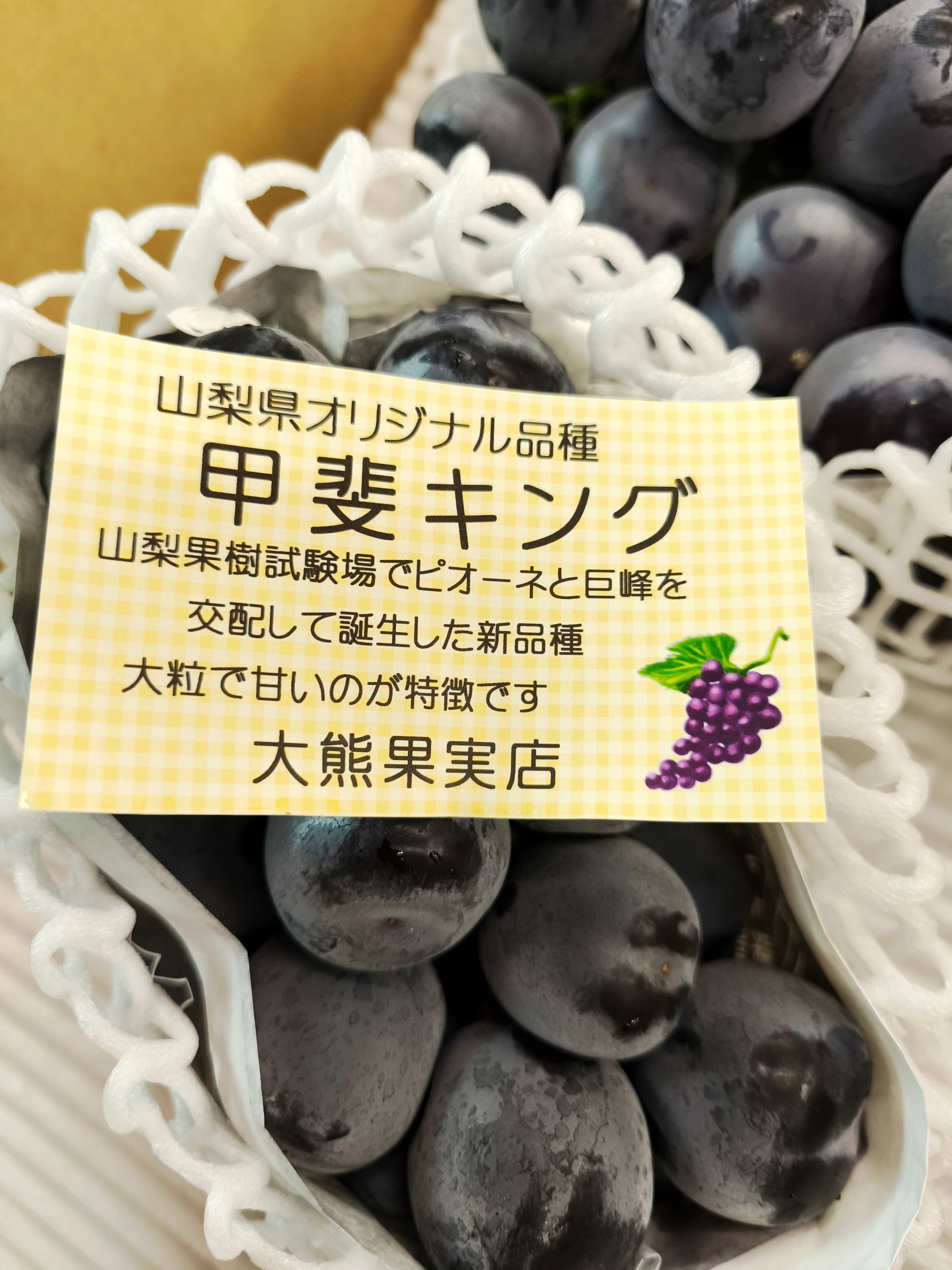 【明日終了　ぶどう　甲斐キング 種なし2房 】送料・贈答化粧箱込　葡萄 巨峰 初登場！進化した巨峰系種なしぶどう【甲斐キング】2房入り