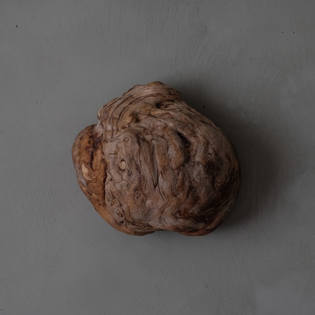 Tree burl