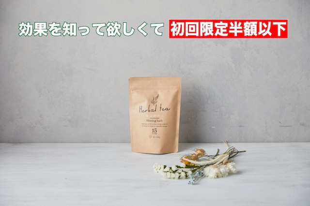 ハーブティー 初回限定 半額以下の1000円 初めてのお客様 ルイボスティー お茶 ダイエットティー 腸活 素美人 リラックス 1袋 15包