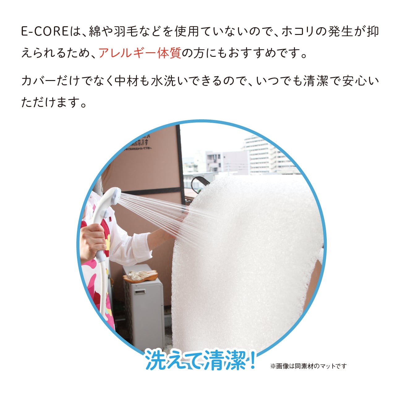 E-CORE クッション座布団【送料無料】 | コドメル通販サイト