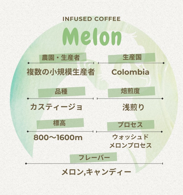 【コーヒーバッグ】メロン10パック入り インフューズドコーヒー
