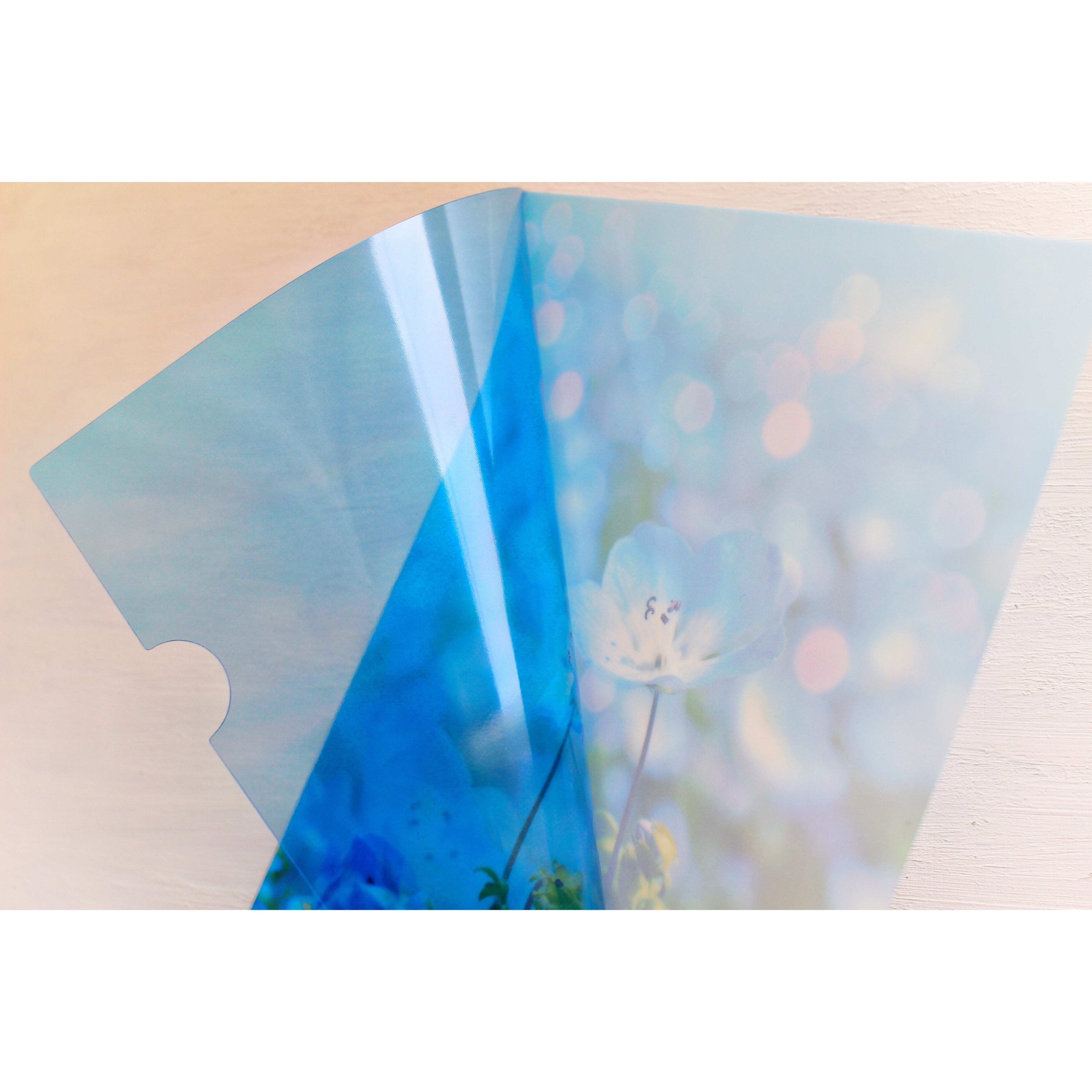 A5サイズ クリアファイル「Nemophila」*訓子kunko* | 訓子kunko