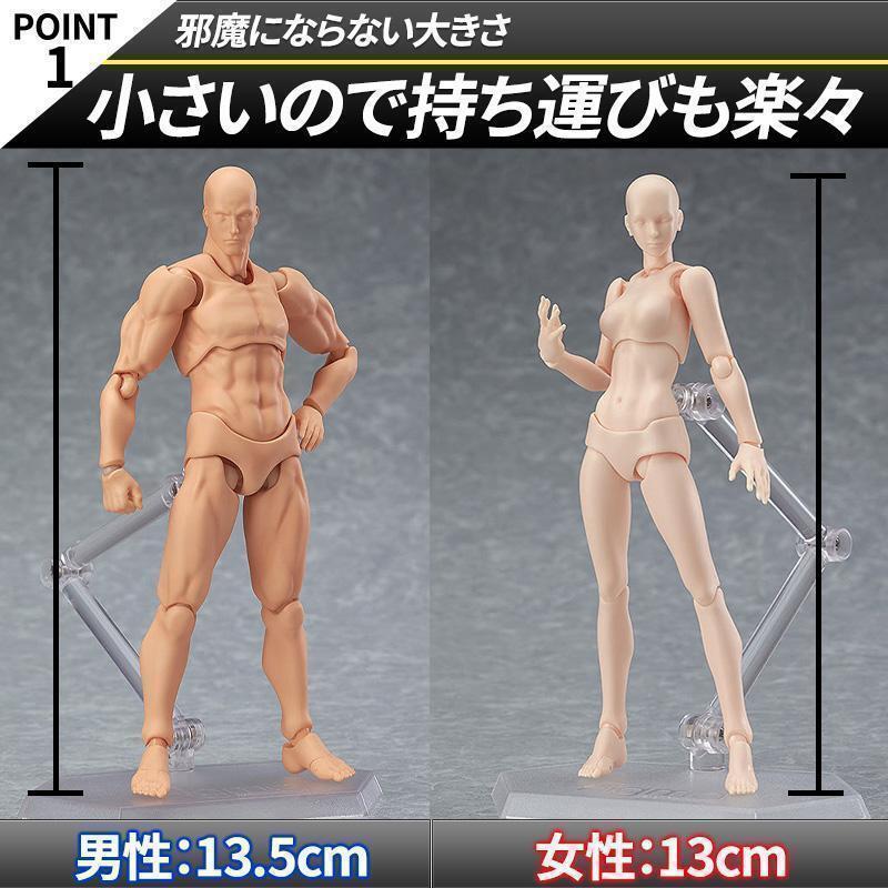 デッサン人形 男女人体模型 デッサン人形 男女人体模型