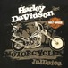 HARLEY DAVIDSON JAMAICA Tシャツ ★【クリックポスト利用で送料無料】