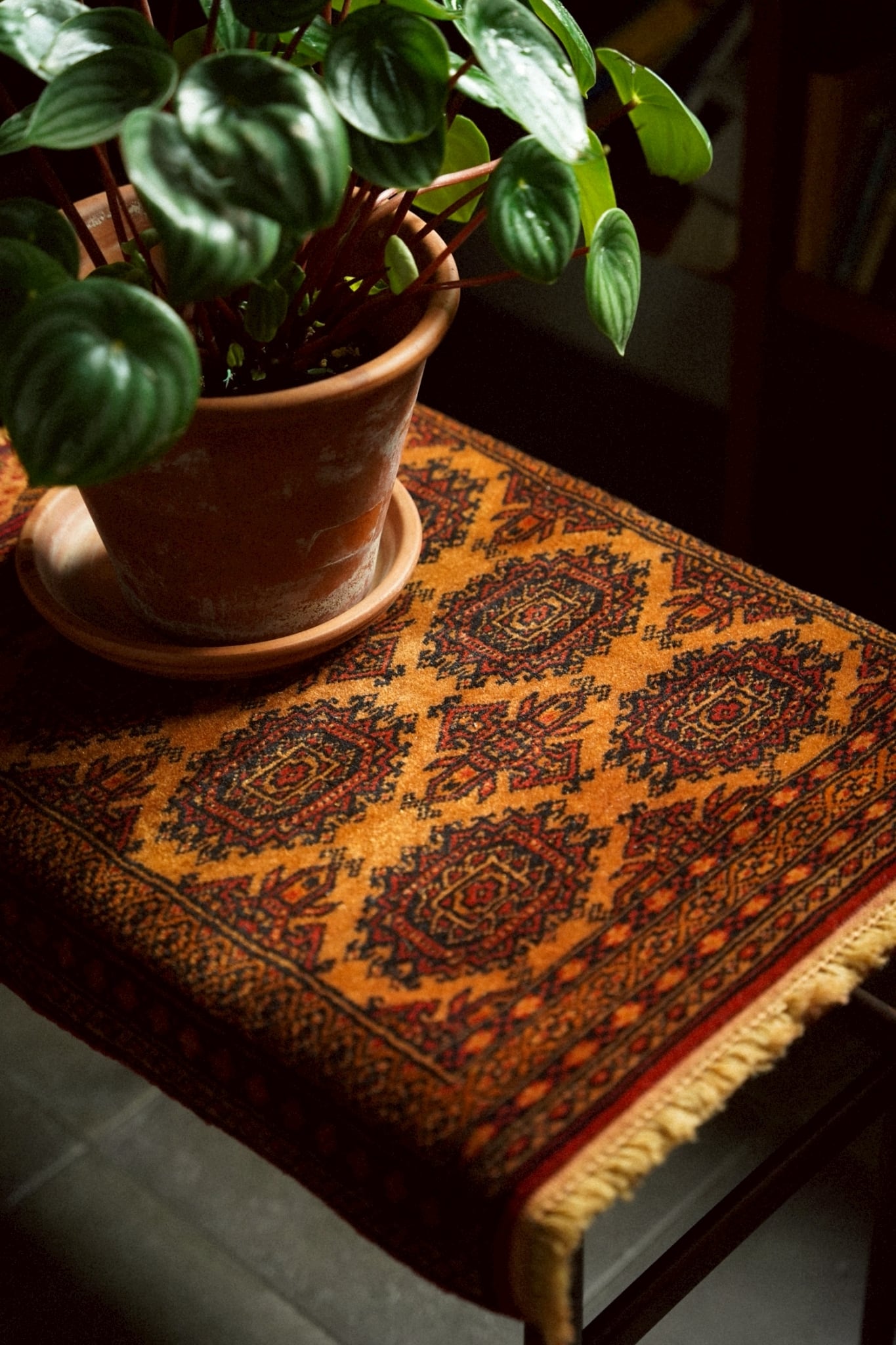 1924-Vintag Turkmen rug