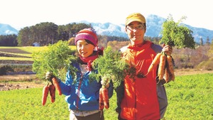 【リニューアル!】野菜計画の"濃い味"野菜箱（＊隔週配送）