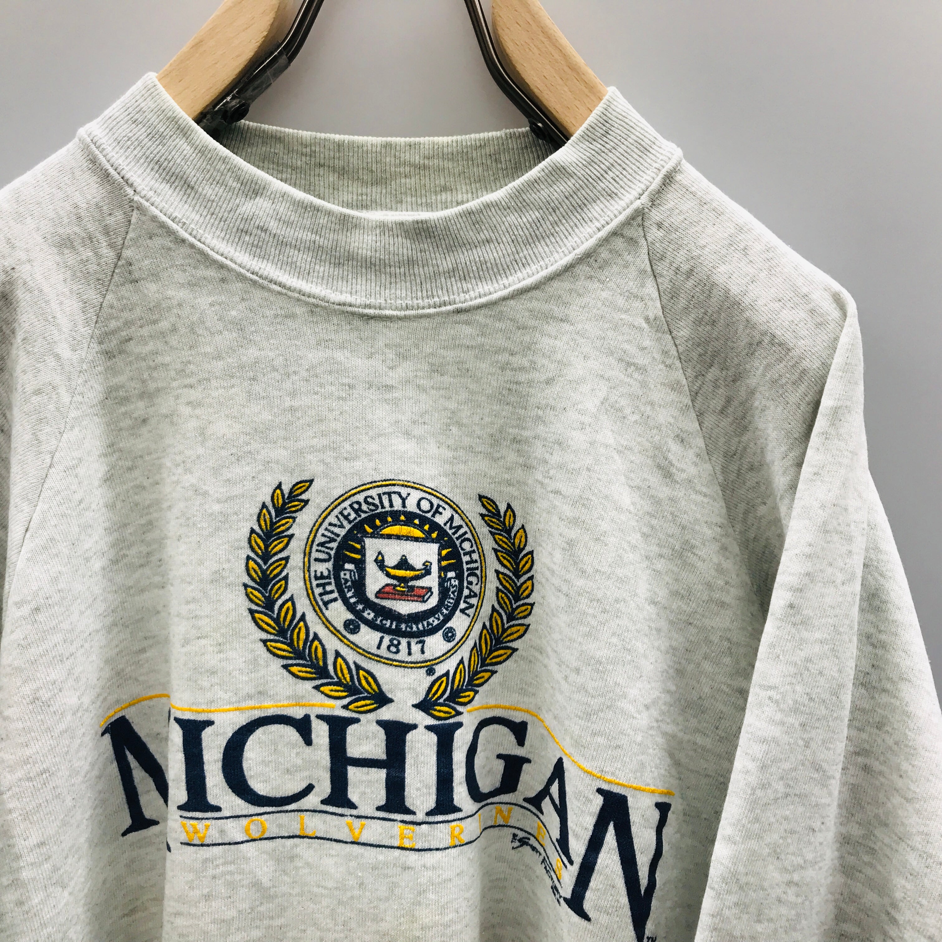 90年代 USA製 MICHIGAN ミシガン リンゴ ロゴ プリントTシャツ メンズXL