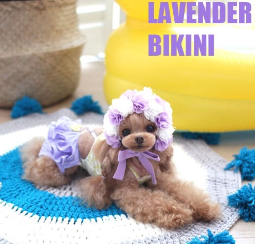 予約【HAPPYJJANGGU】Lavender Bikini