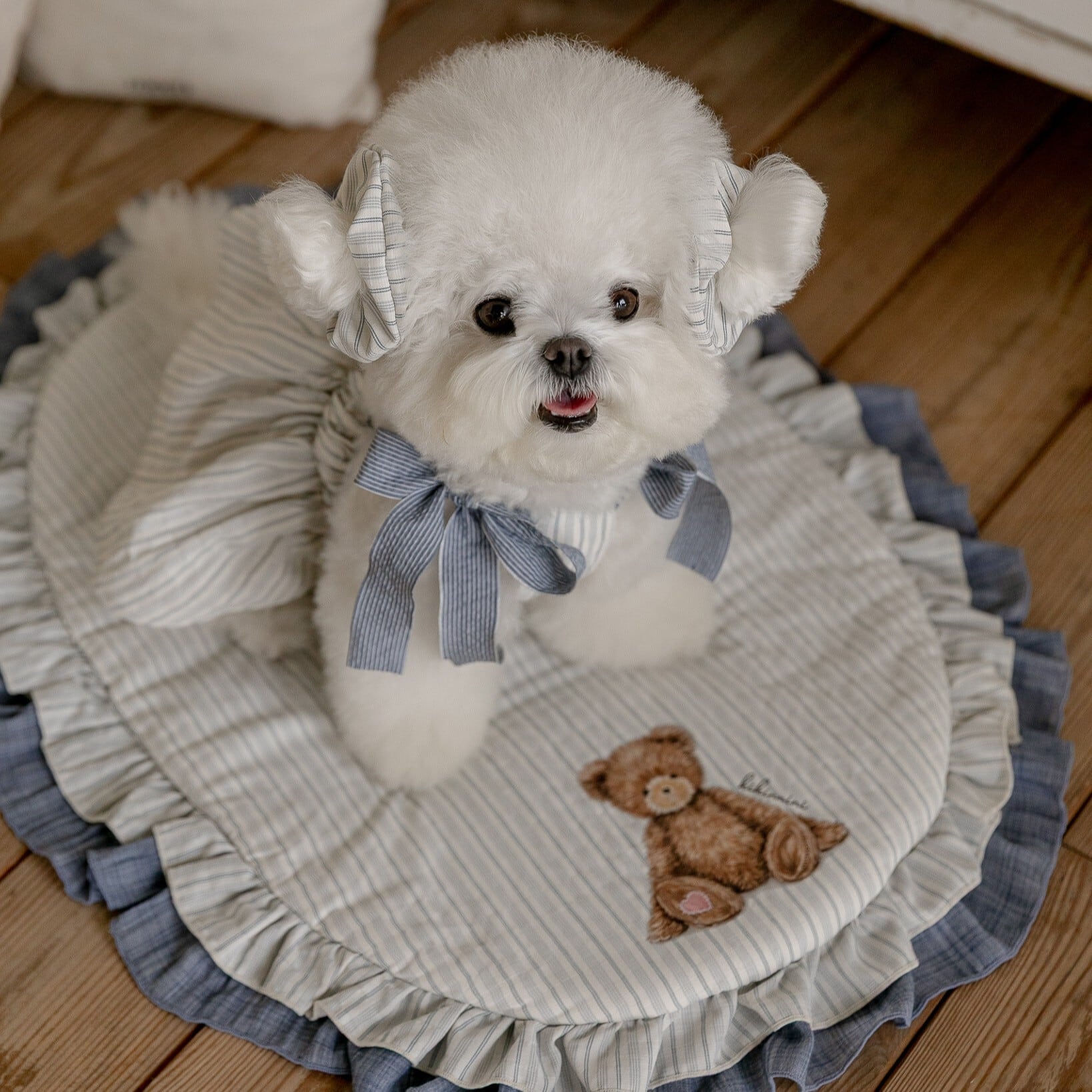 DOG WEAR | LUANA DOG