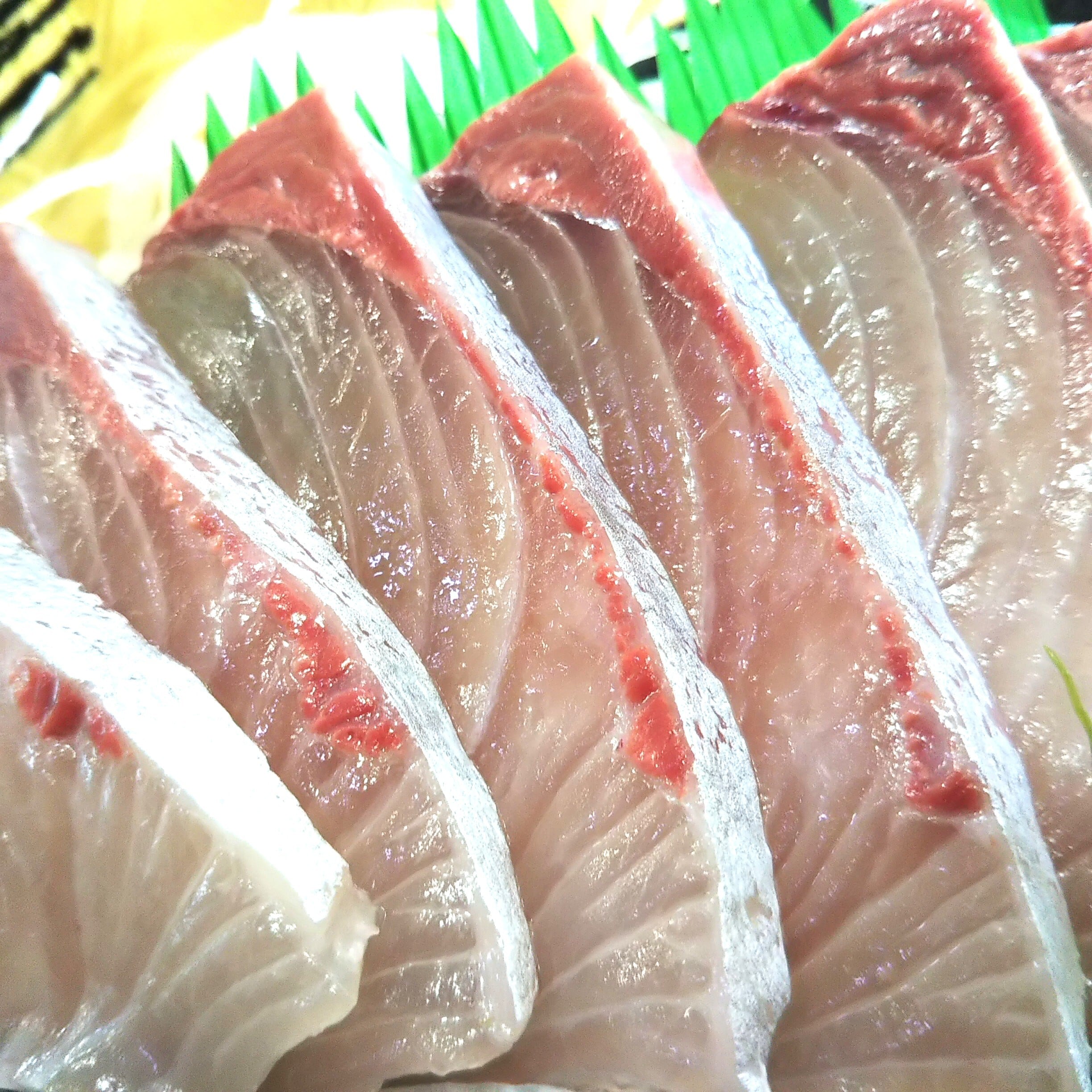 熊本県天草産 養殖カンパチ お刺身用 半身 恵比寿鮮魚店