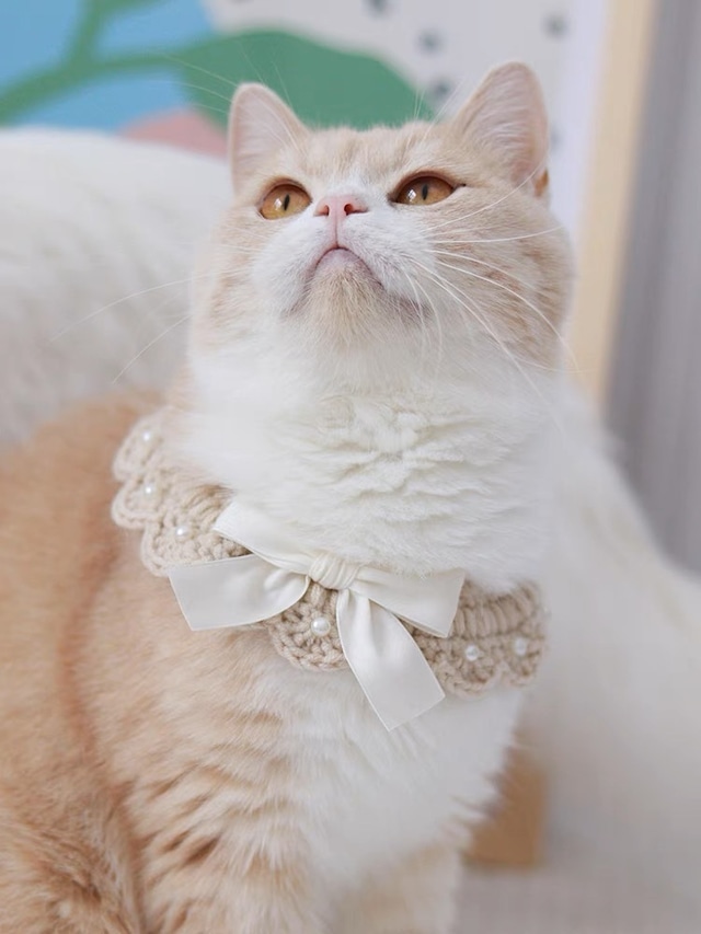 ニットパールリボンチョーカー 猫 首輪 付け襟