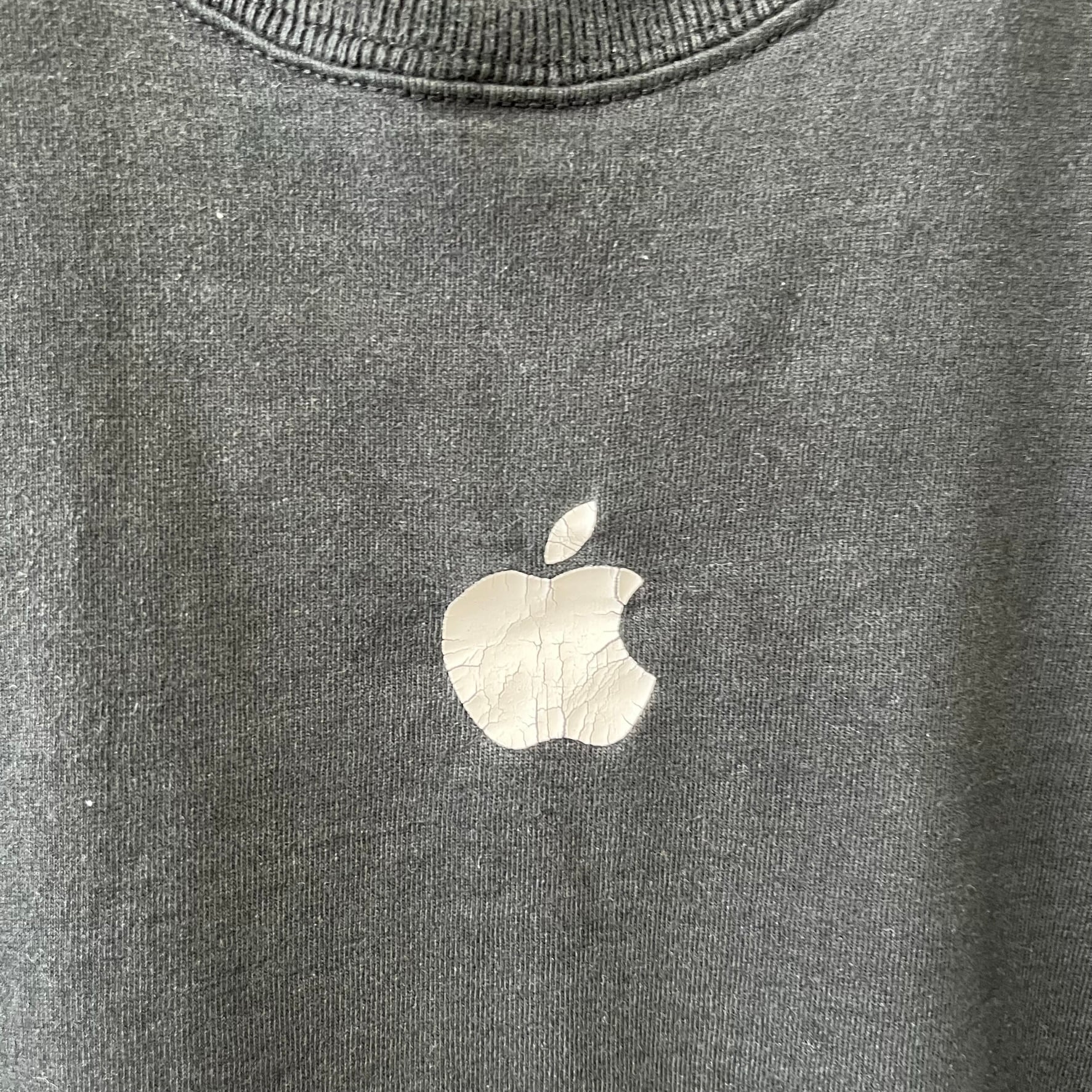 レアAppleロゴビンテージTシャツ、M表記ですがL位、ヘインズボディ