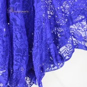 社交ダンス 衣装 スタンダード スカート レッスンウェア オールシーズン 青 ブルー系 レース 練習着 フェミニン かわいい 可愛い 清楚 上品 ロイヤルブルー ラッフル デザイン 美しい エレガント サルサ ジャズ ダンス ウェア レディース フォーマル パーティー おしゃれ 伸縮性 軽やか シンプル 清潔感