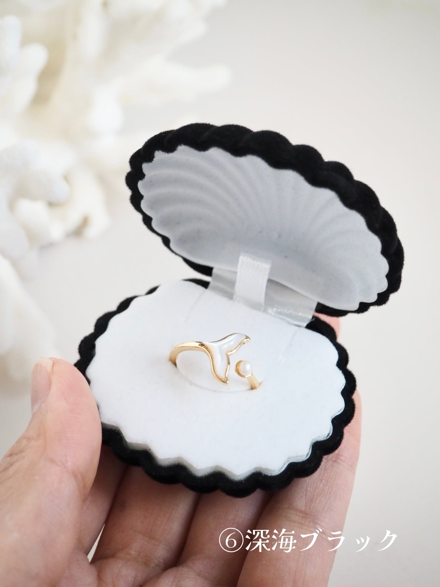 ぱかっ！貝殻のアクセサリーケース | 貝殻と人魚｜貝殻アクセサリー