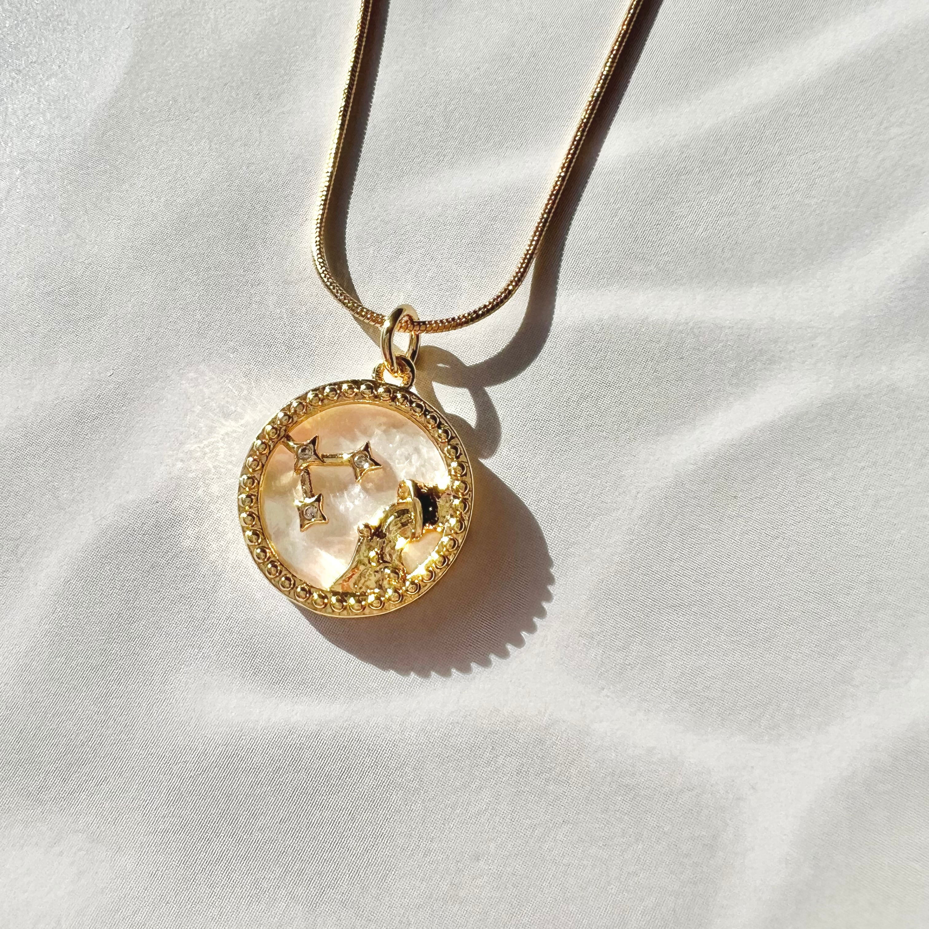 みずがめ座〉星座シェル コインネックレス 18KGPサージカルステンレス