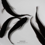 Orochi - オロチメダカ稚魚 10匹 thumbnail 2