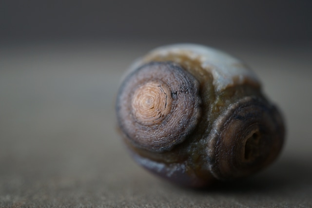 ゴビアゲート Gobi Agate 1685