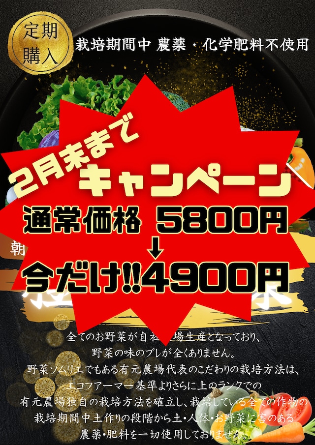 【隔週２週 定期便１２種】有元農場『極・お野菜』ゲンセン霧島星６つ