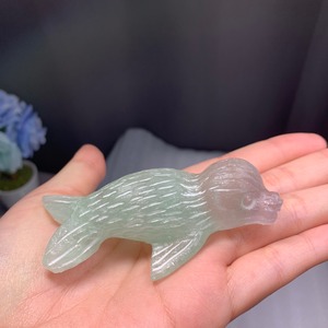 フローライトアザラシ