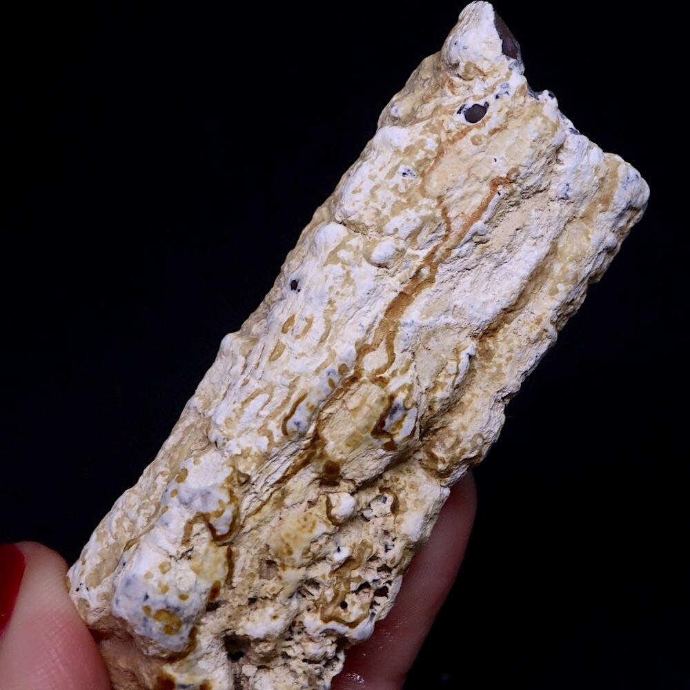 リムキャスト 珪化木 ピンクカルセドニー 75g LM016 鉱物 天然石