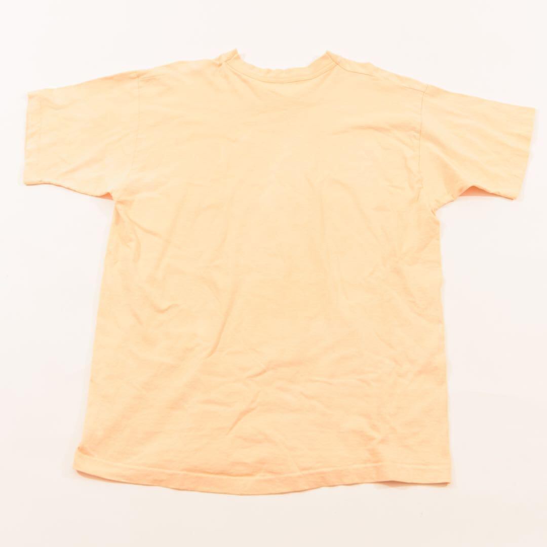 90s Fruit of the loom 90年代 タグ 100％コットン フルーツオブザ 