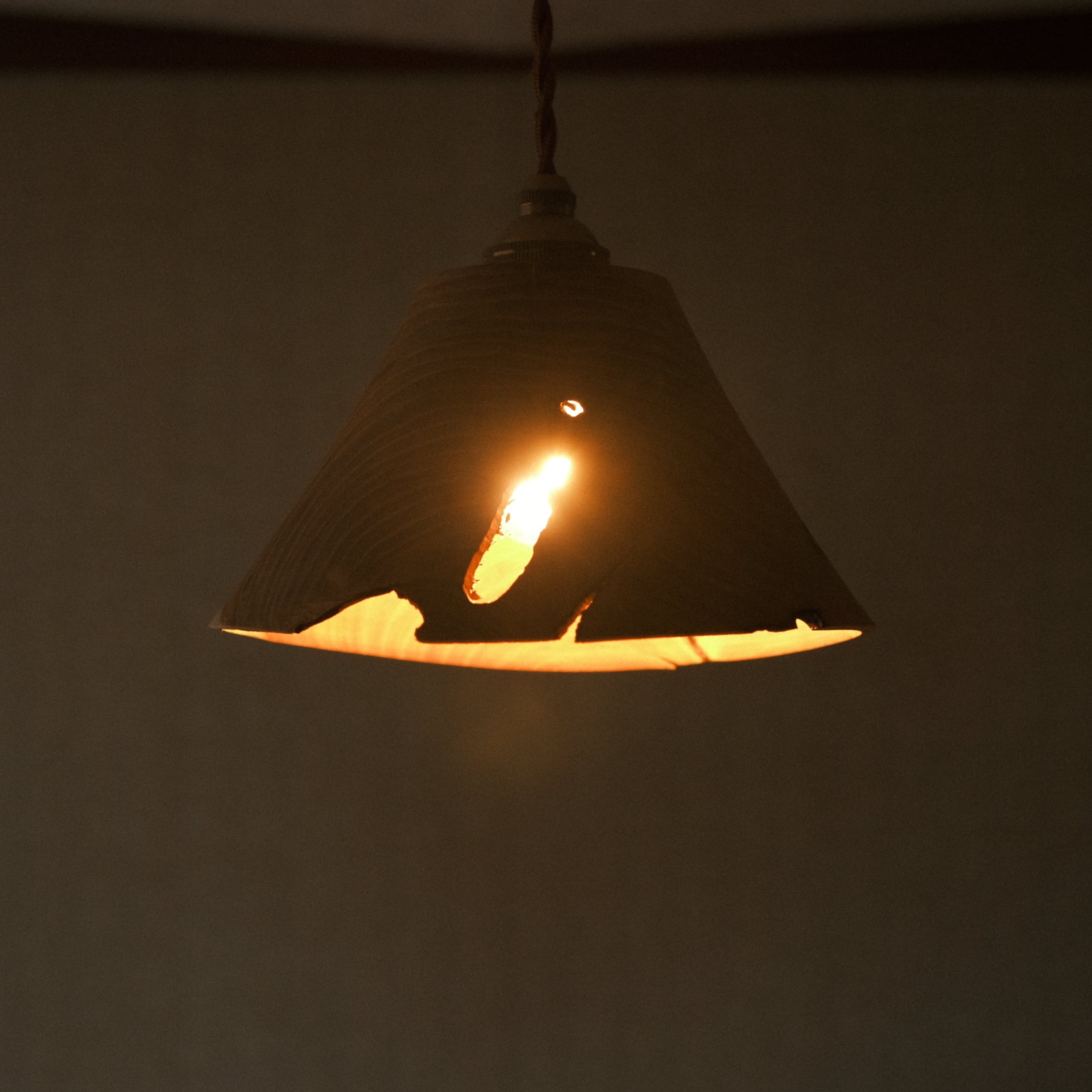 ミズナラ／lamp shade | waranoue
