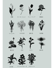 植物標本 ステンレスマグカップ　◇ホワイト