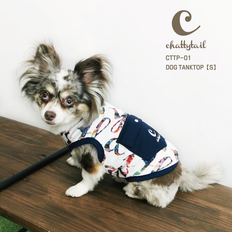chattytail