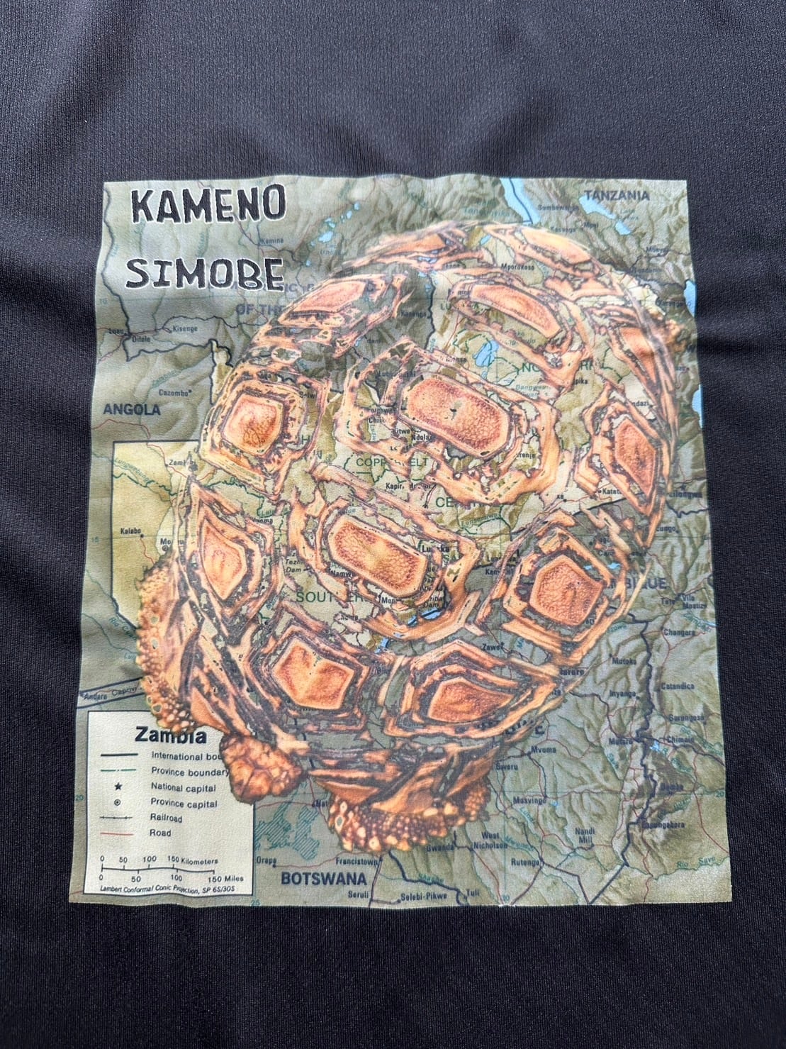 ヒョウモンガメ故郷地図背景ドライTシャツ黒LL ブルーネック
