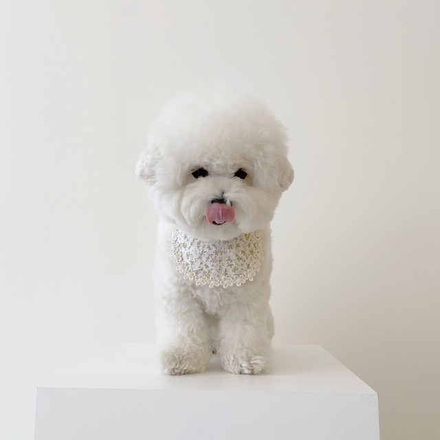 〈 予約アイテム〉EYOU  スタイ/フローラルベベビブ