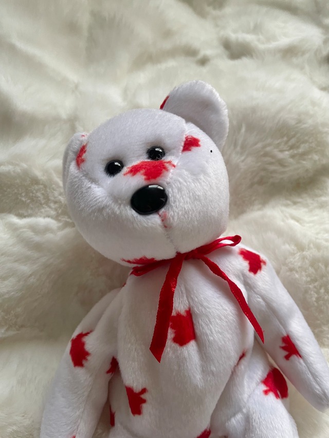 ty bear America/Canada