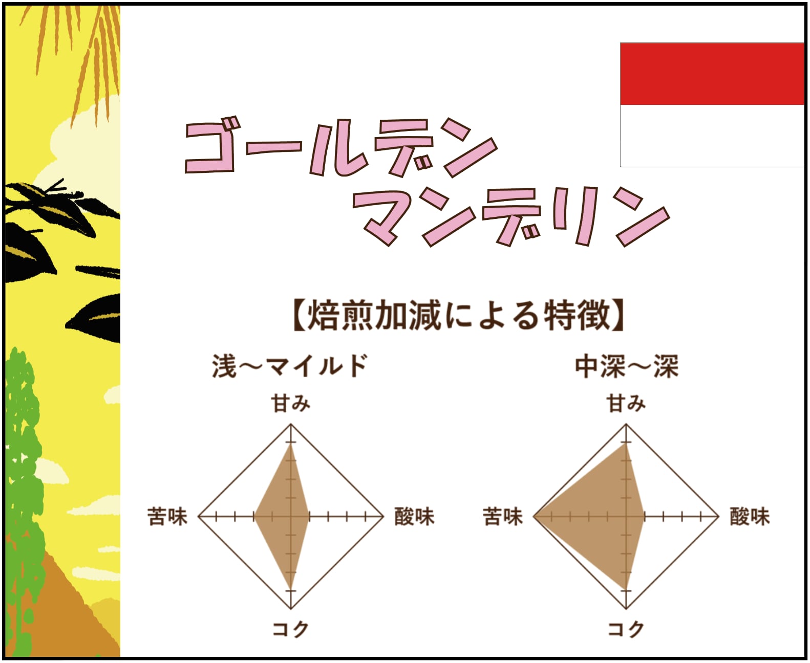 【500g】ゴールデンマンデリン