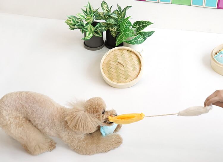 gyoza play toy / ペット 犬 おもちゃ 知育玩具 ノーズワーク おやつ隠し 可愛い わんちゃん おもちゃ ストレス解消