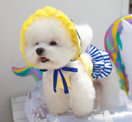 【cocochien】Summer bonnet