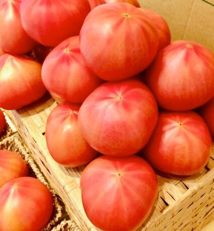 宮城県・大崎『デリシャスとまと』 | 東京蔵屋敷.com オンラインショップ