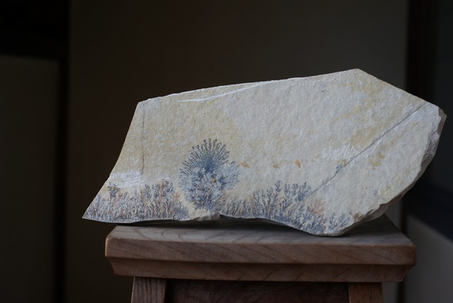 デンドライト 忍石 Dendritic limestone  ⑩
