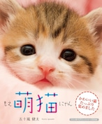 「萌猫」もえにゃん