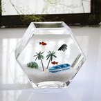 金魚鉢　水槽　テラリウム　花瓶　ガラス　透明　クリア　観葉植物　ガラス花器　おしゃれ　インテリア　卓上　玄関
