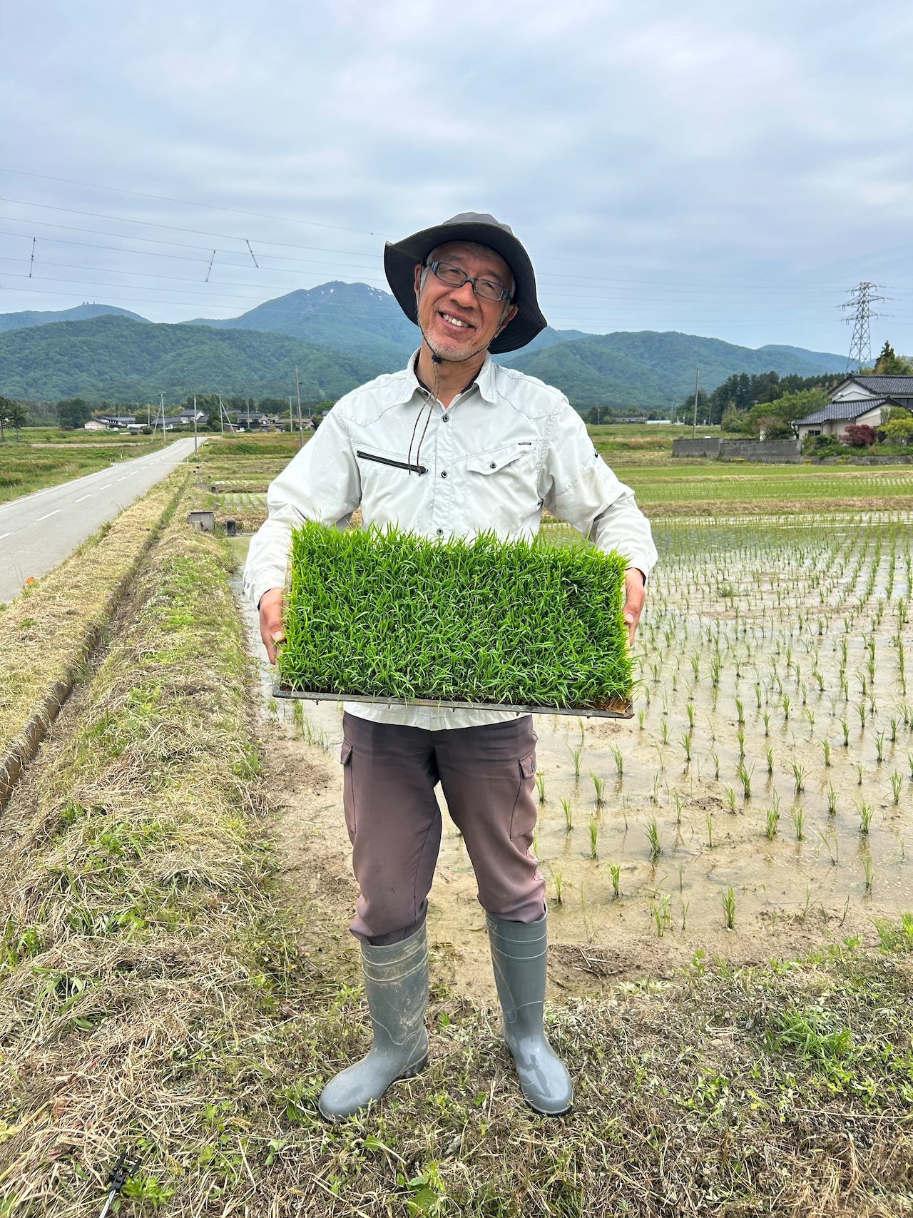 令和8年佐渡産コシヒカリ 3㎏・画像5
