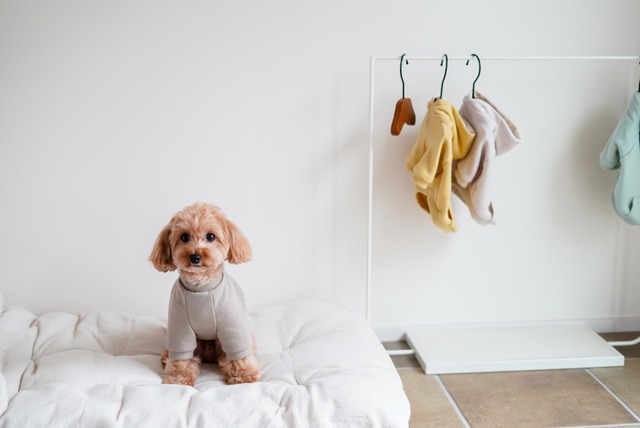 【ミニ裏毛 ニュアンスカラー スウェット 】全4色