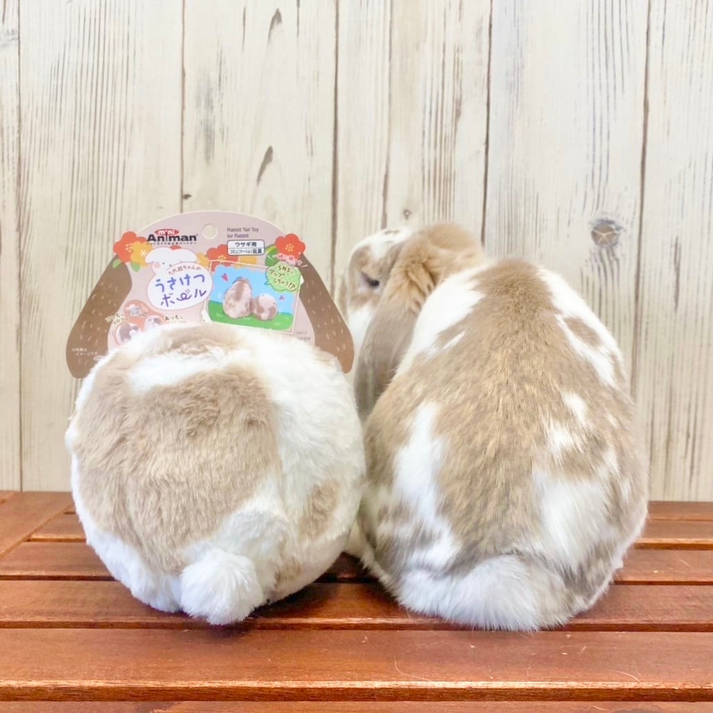 ご確認用　うさぎちゃん　付け耳パーツ　ドール製作　干支 ご確認用 うさぎちゃん 付け耳パーツ ドール製作 干支 ご確認用 うさぎ