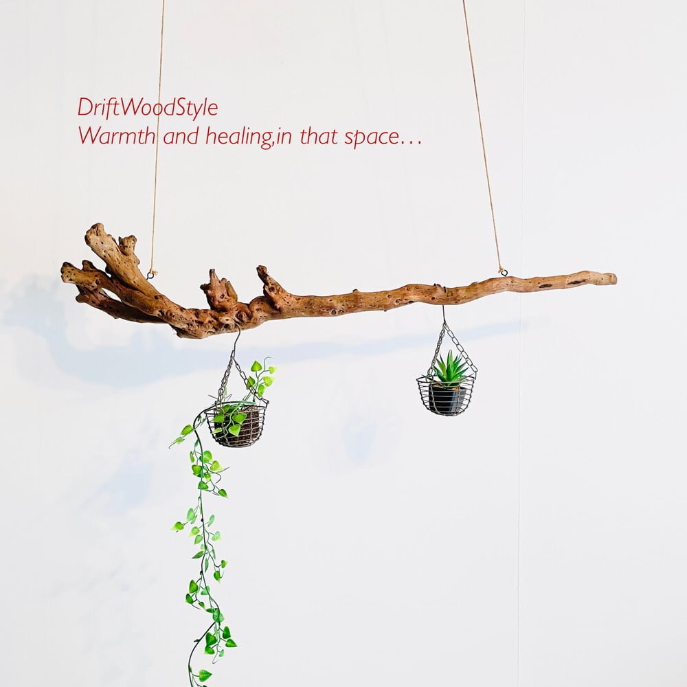流木インテリア専門 DriftWoodStyle