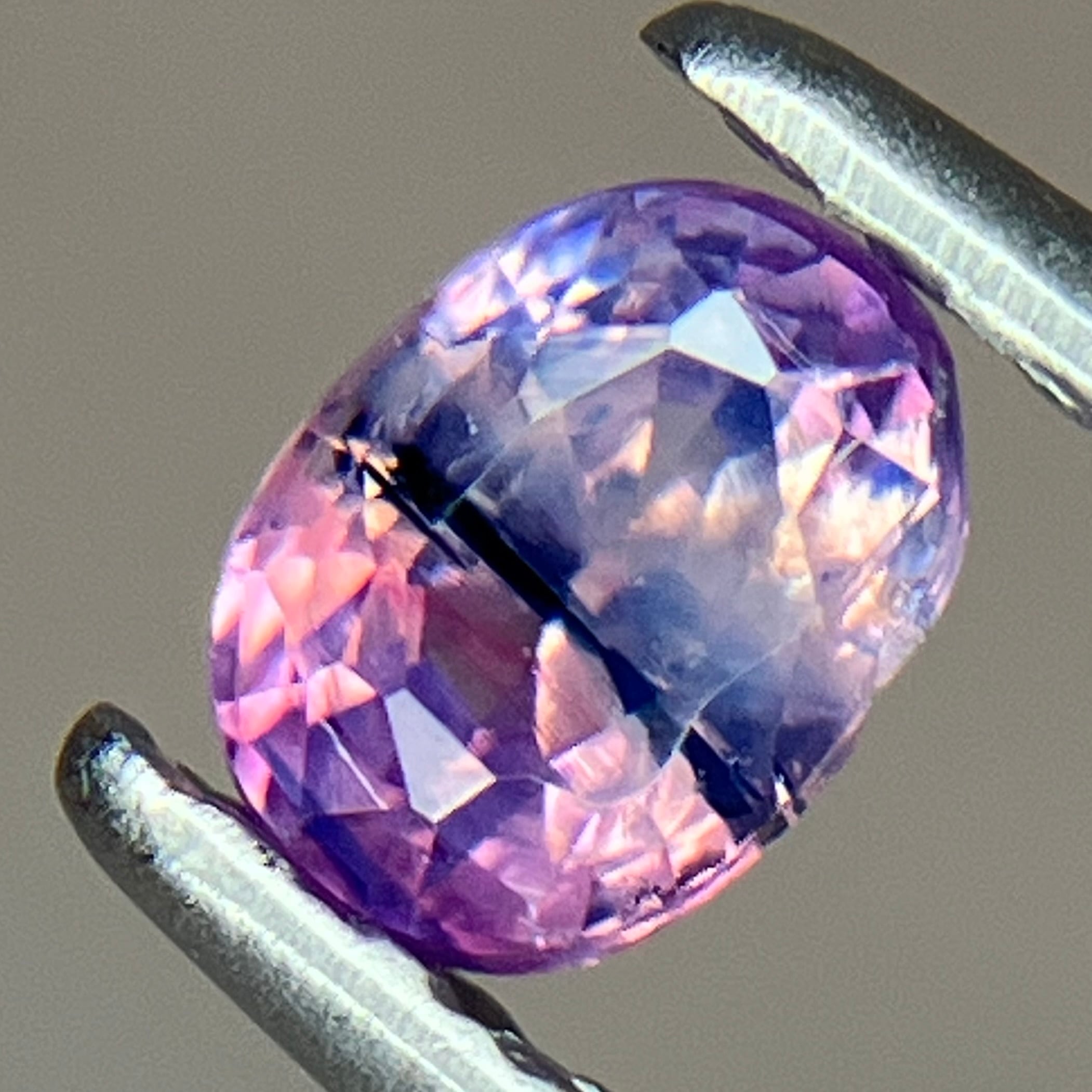 シルキーサファイア　ネオンカラー シルキーサファイア ネオンカラー 【公式通販】