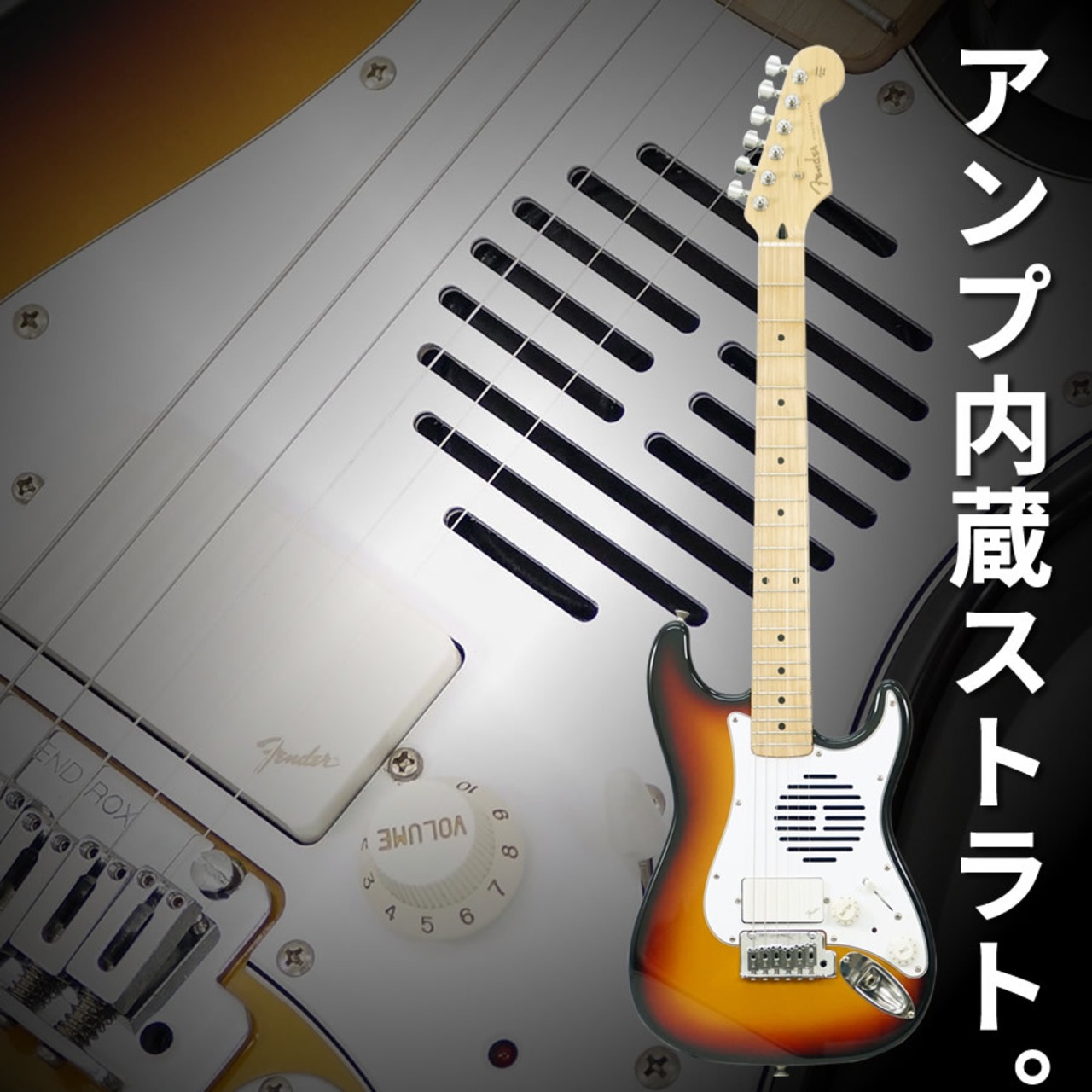 Fender Japan ST-CHAMP 10 (3TS/Rosewood) [USED]