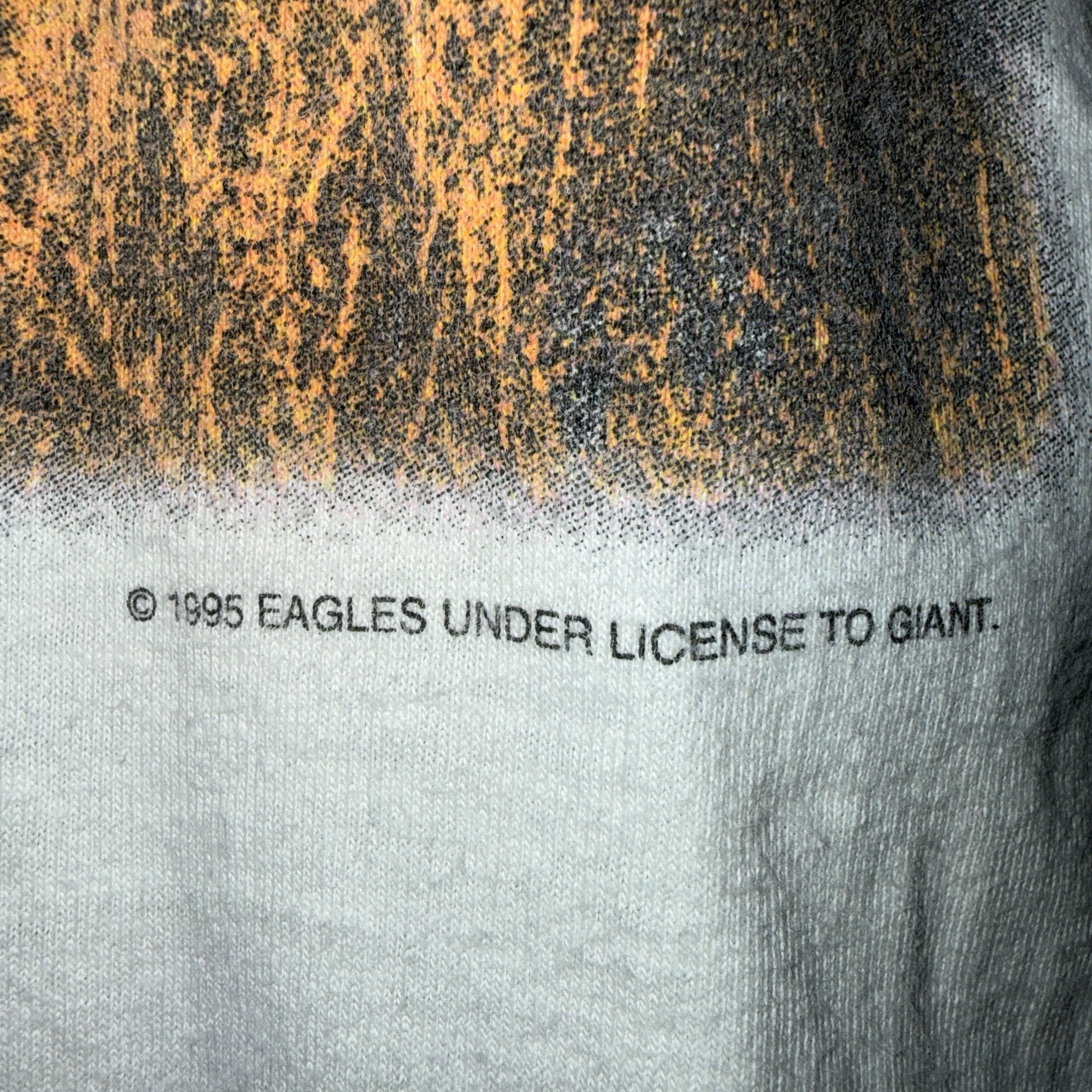 EAGLES】イーグルス “HELL FREEZES OVER WORLD TOUR 1995” 90's